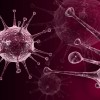 Brevkassen: Smitter forkølelsessår ved oralsex? herpes virus