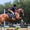 Går din kæreste til ridning? Læs her hvordan du kan være den støttende kæreste, også hjemme fra sofaen. animal-equestrian-equine-1559388